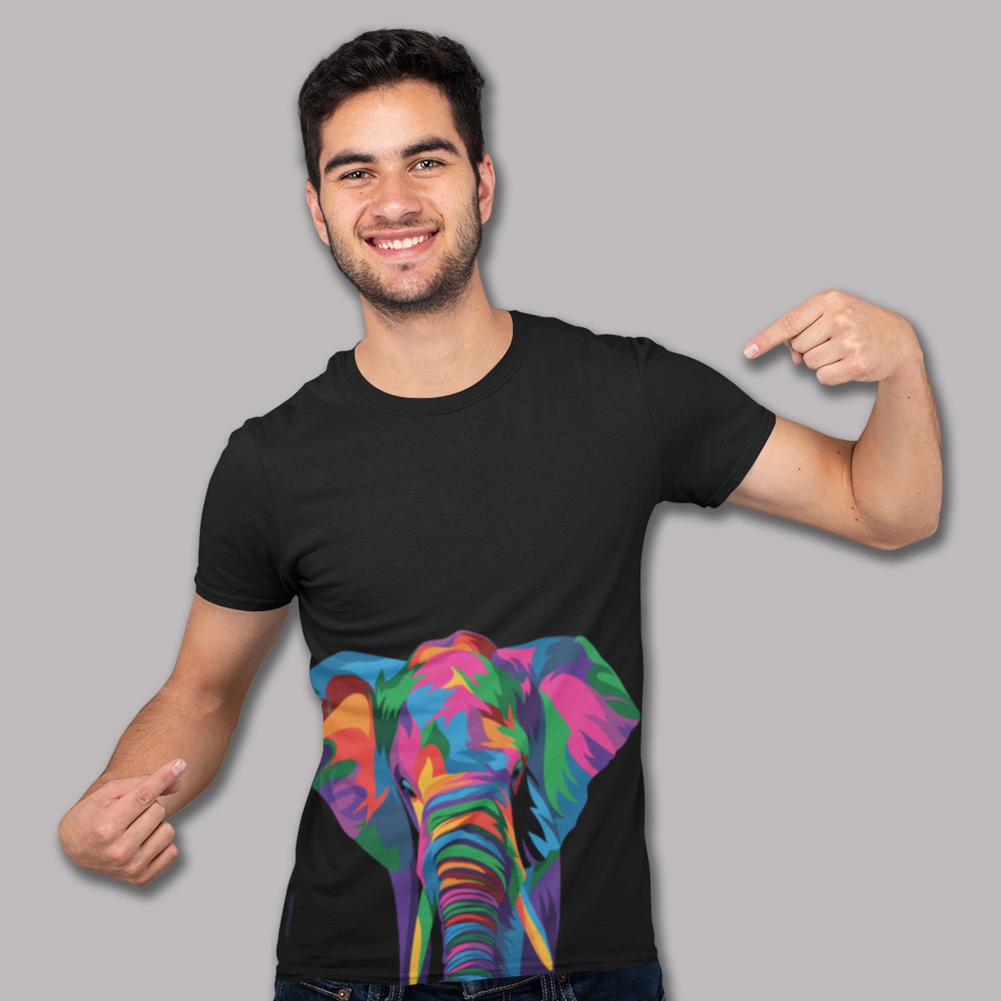 Colorful Elephant Art 